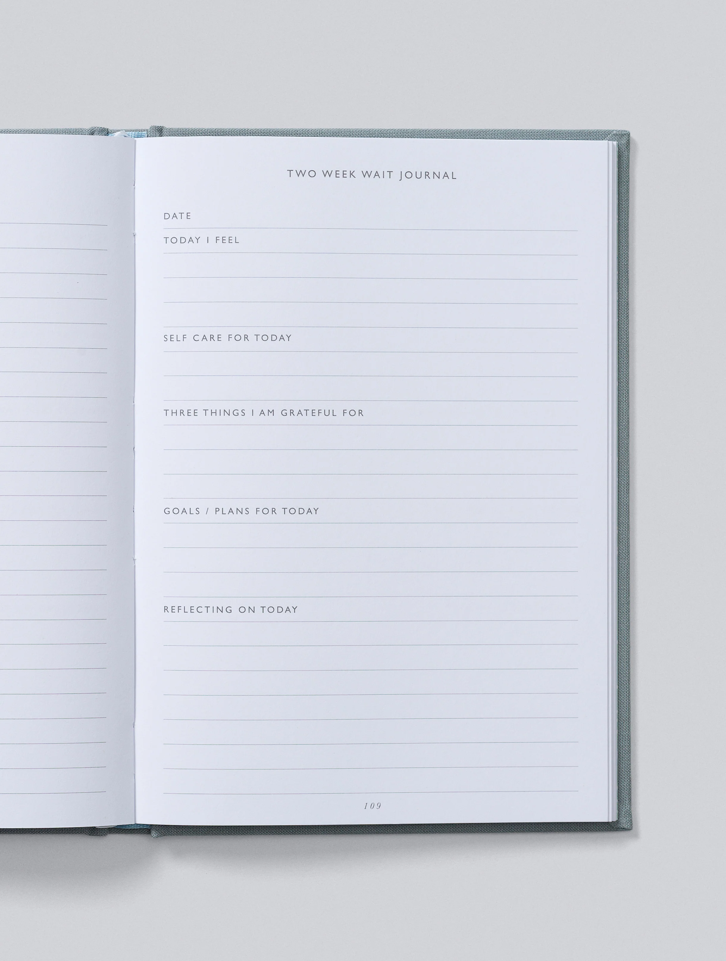 Write To Me - IVF Journal - Grey - Image 15