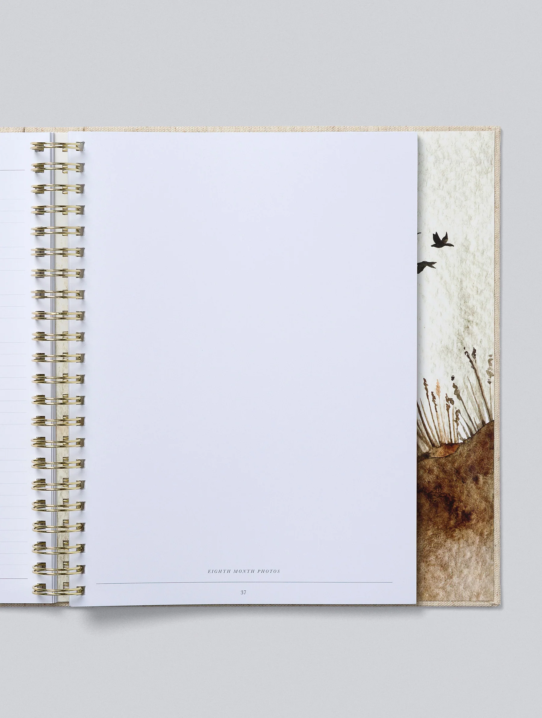 Write To Me - Baby Journal First Five Years - Oatmeal (Boxed) - Image 8